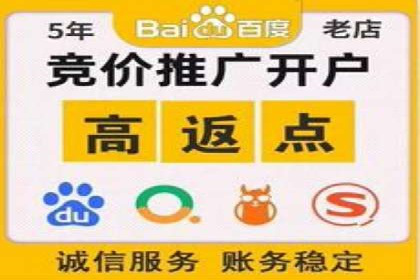 充值高返点案例研究：如何实现最大化收益